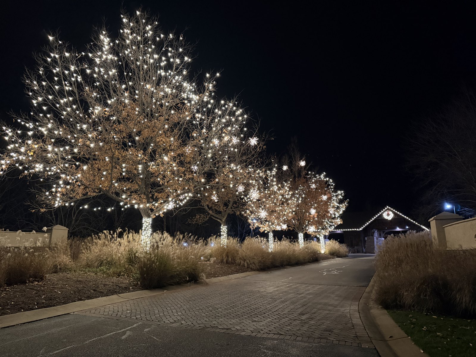 Trees wrapped in warm white Christmas lights at Old Kinderhook