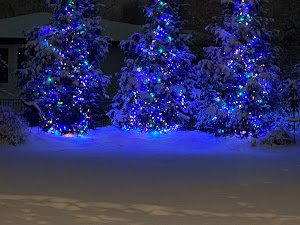 Christmas lighting photo 3 shared by Linda Mustoe on Google
