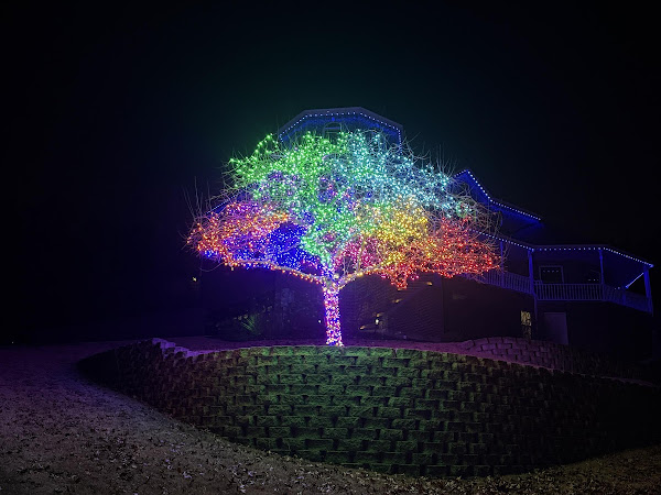 Christmas lighting photo 1 shared by Julie Mullen on Google